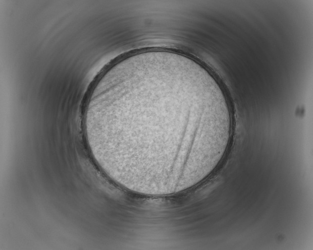 X0000113740883200910211122