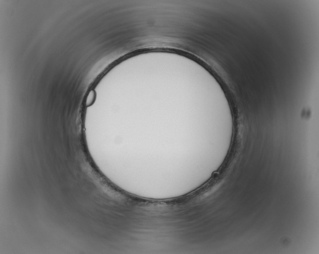 X0000113740885200910211122