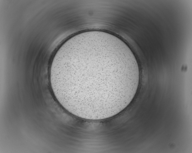 X0000113740886200910211122