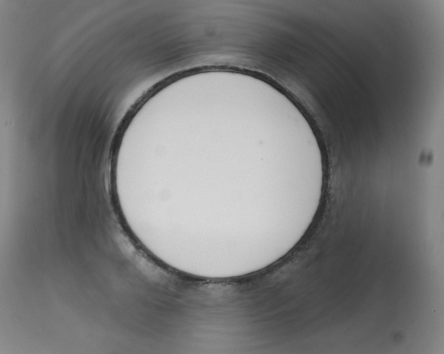 X0000113740888200910211122