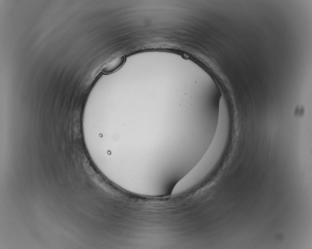 X0000113740889200910211122