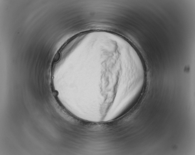 X0000113740891200910211122