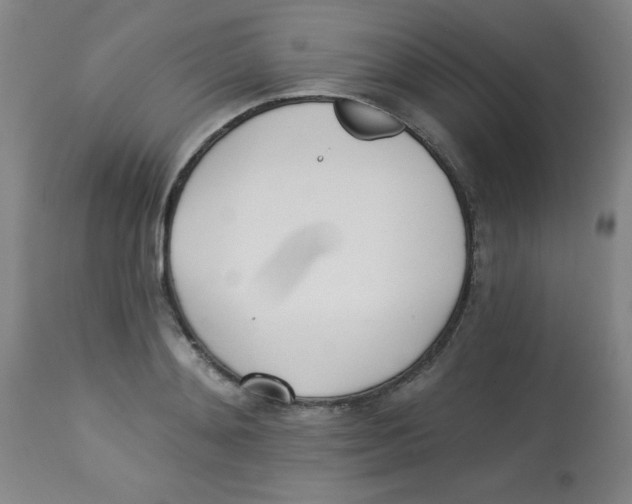 X0000113740892200910211122