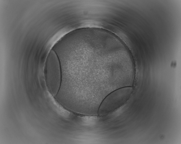 X0000113740893200910211122
