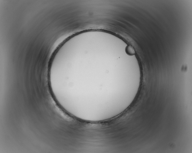 X0000113740894200910211122