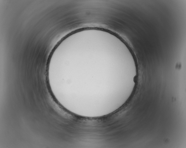 X0000113740895200910211122