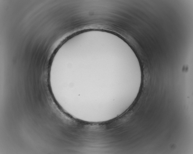 X0000113740896200910211122