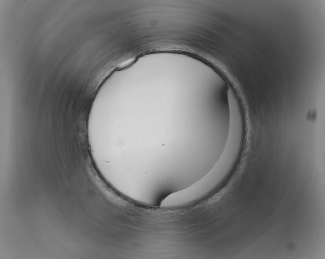 X0000113740897200910211122