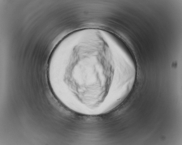 X0000113740899200910211122