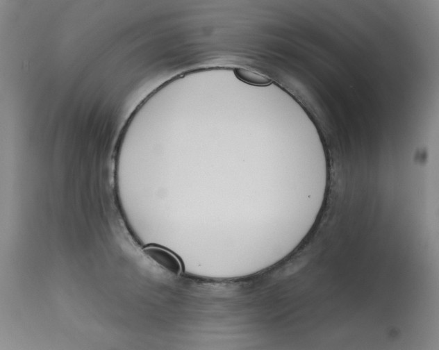 X0000113740900200910211122