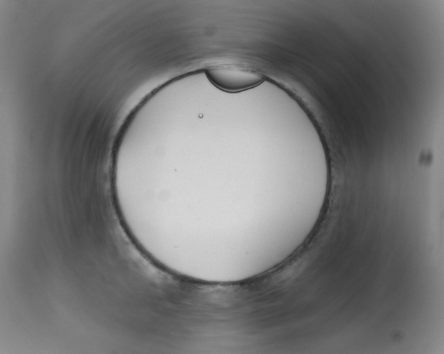 X0000113740902200910211122