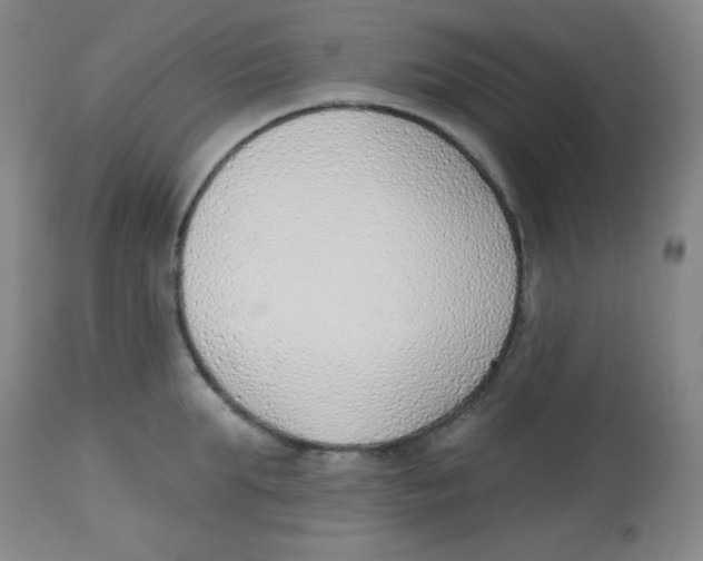 X0000113740903200910211122