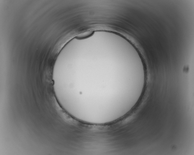 X0000113740905200910211122
