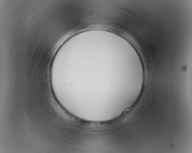 X0000113740907200910211122