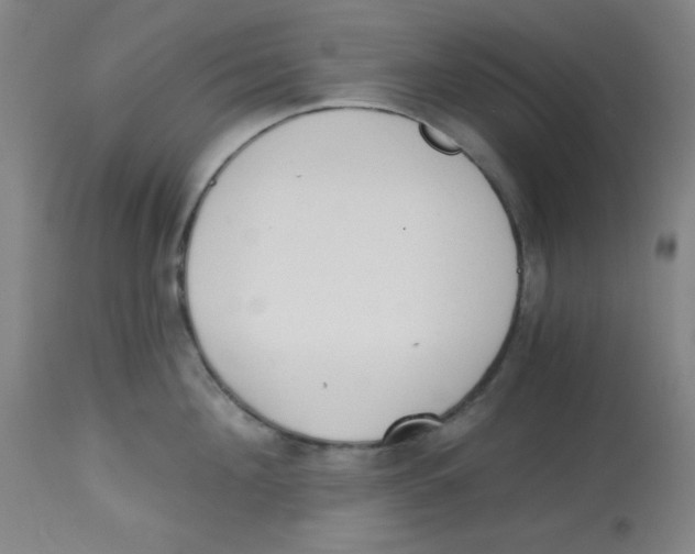 X0000113740908200910211122