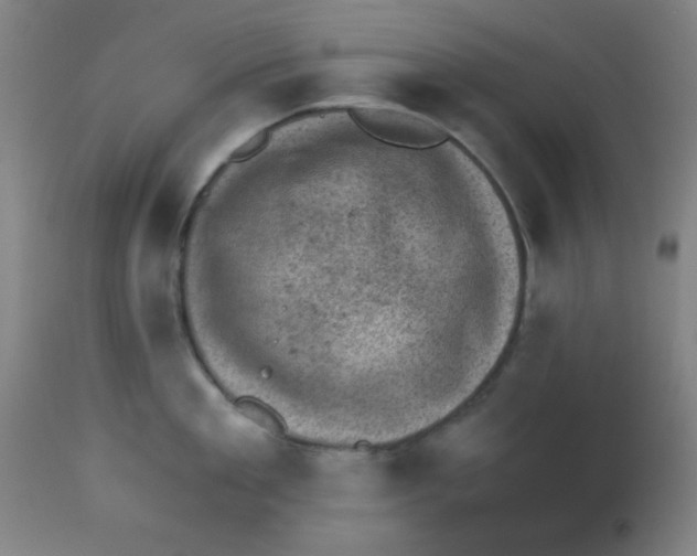 X0000113740909200910211122