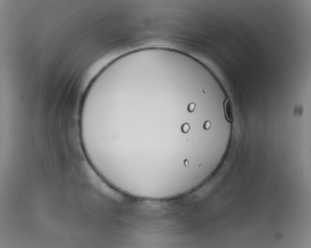 X0000113740910200910211122