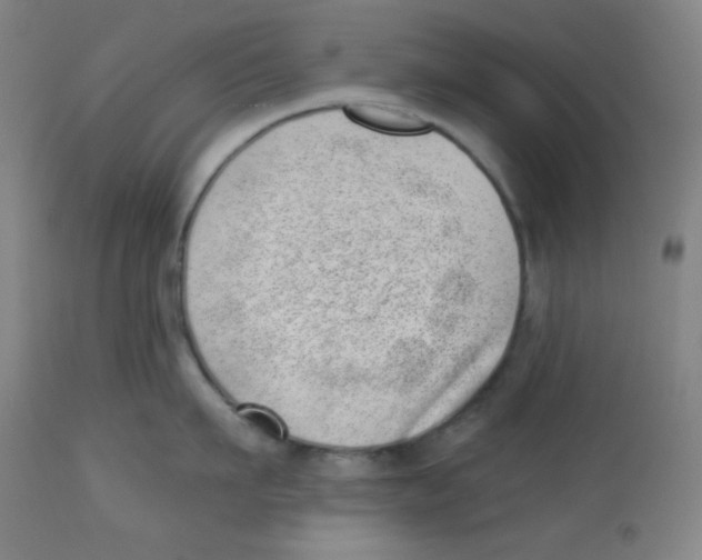 X0000113740911200910211122