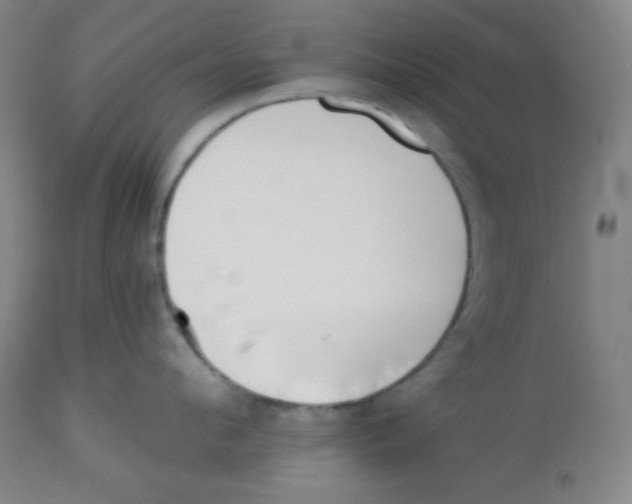 X0000113740912200910211122