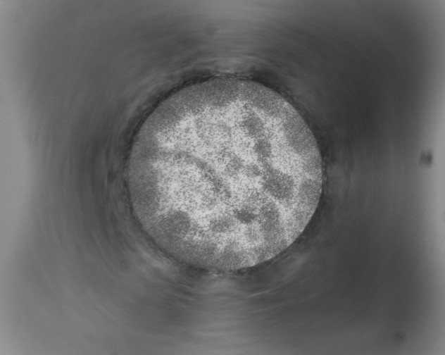 X0000113740913200910211121