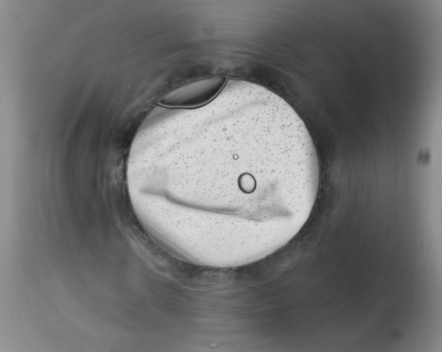 X0000113740914200910211121