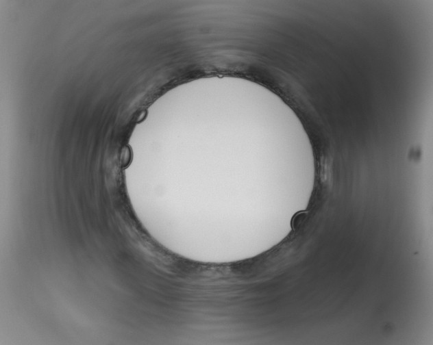 X0000113740915200910211121