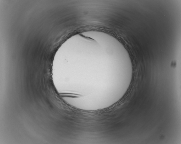 X0000113740916200910211121