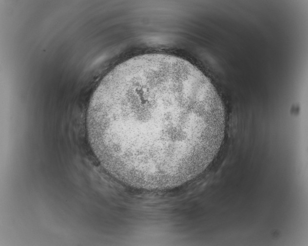 X0000113740917200910211121