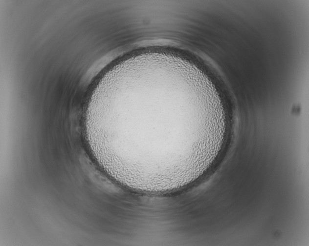 X0000113740921200910211121