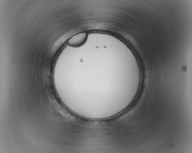 X0000113740922200910211121