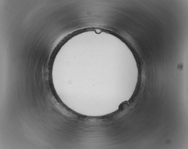 X0000113740924200910211121