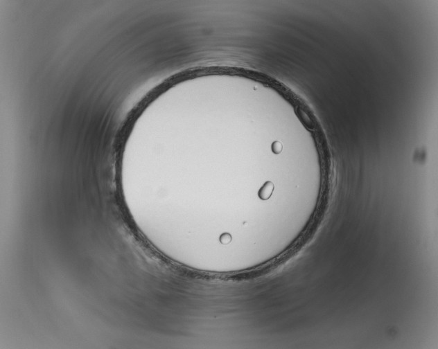 X0000113740925200910211121