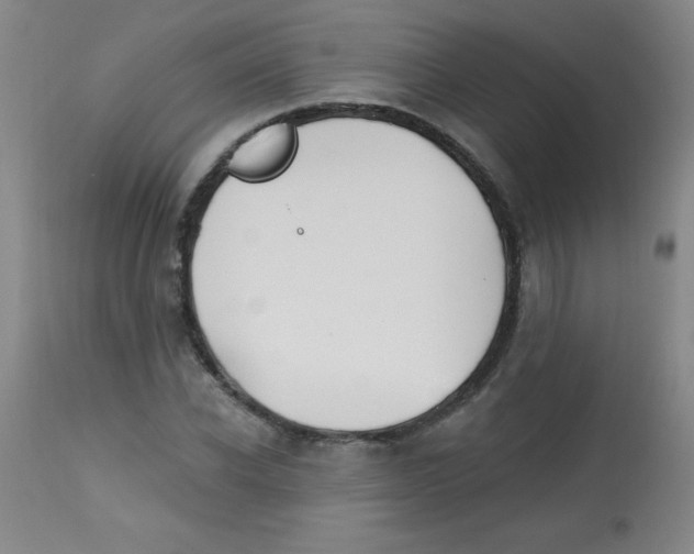 X0000113740926200910211121