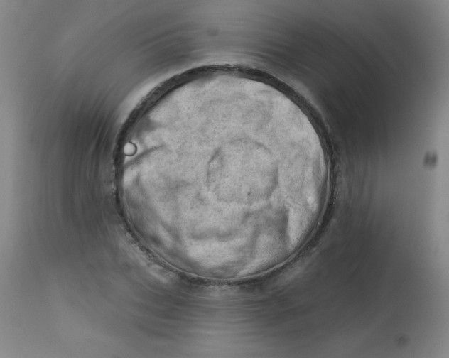 X0000113740927200910211121