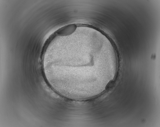 X0000113740928200910211121