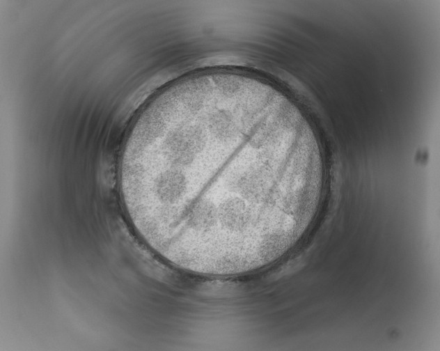 X0000113740929200910211121