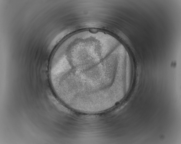 X0000113740930200910211121