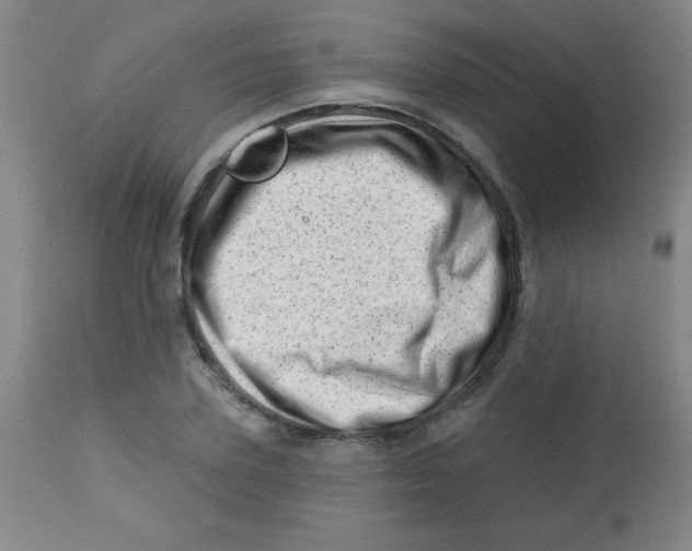 X0000113740931200910211121