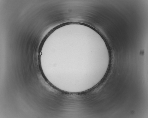 X0000113740932200910211121