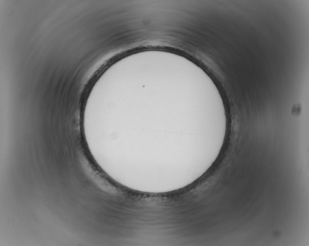 X0000113740934200910211121