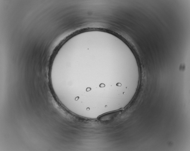 X0000113740935200910211121