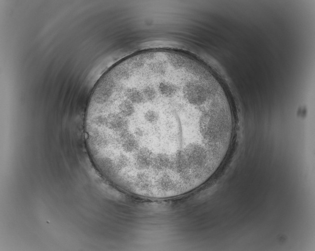 X0000113740937200910211121
