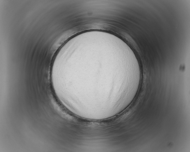 X0000113740938200910211121