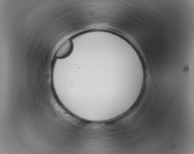 X0000113740939200910211121