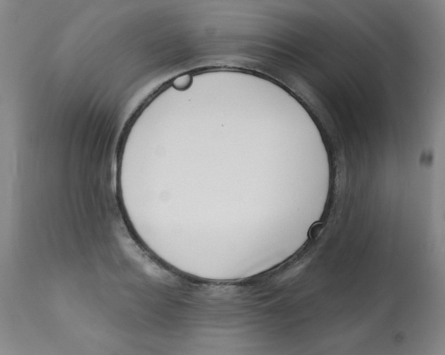 X0000113740940200910211121