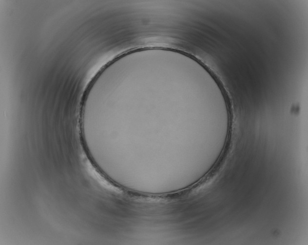 X0000113740941200910211121