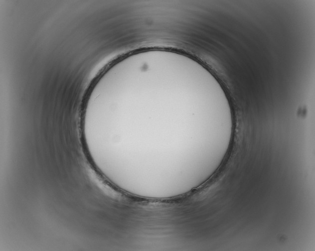 X0000113740942200910211121