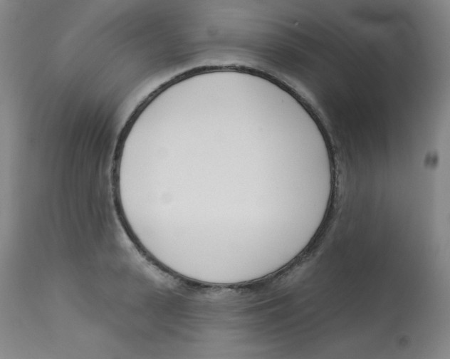 X0000113740943200910211121