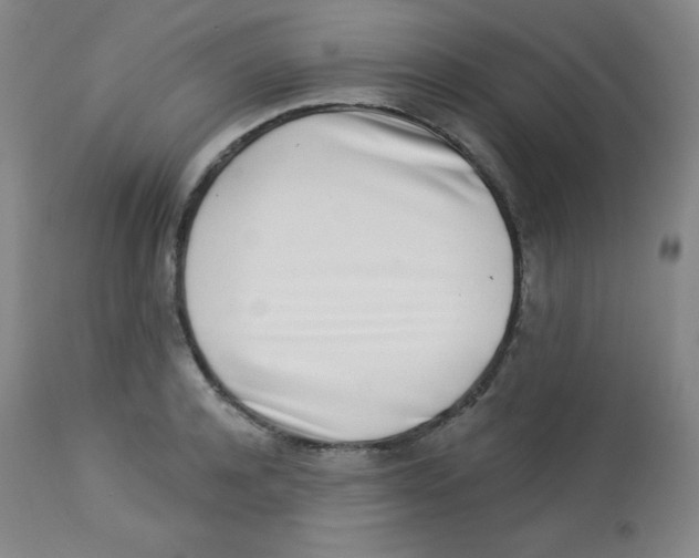 X0000113740944200910211121