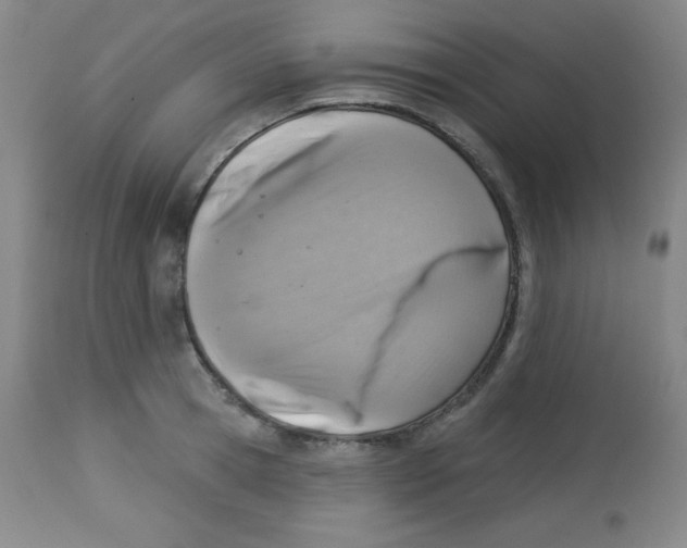 X0000113740945200910211121